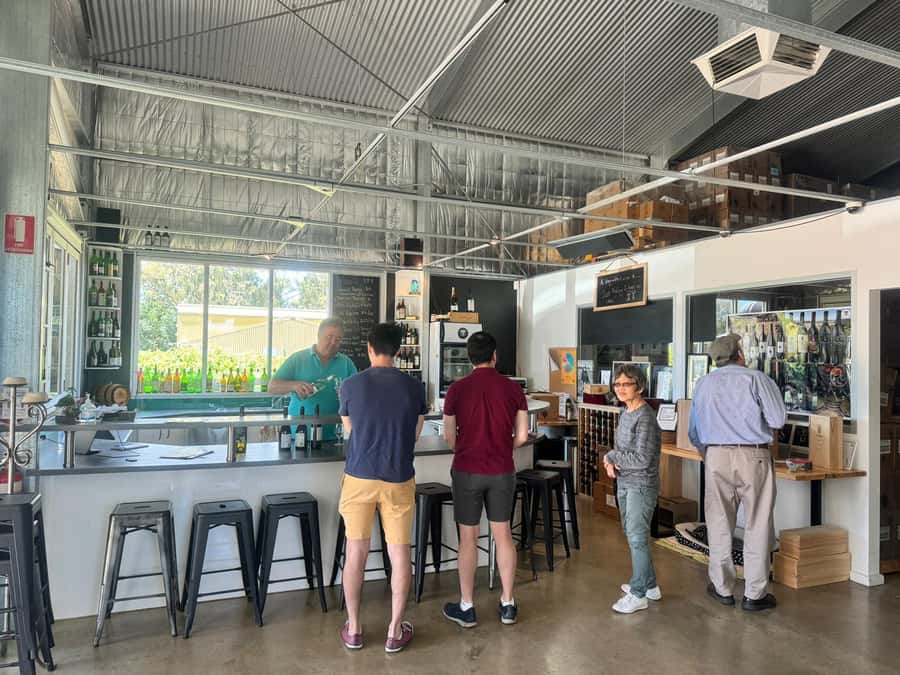 From Adelaide: McLaren Vale Wine Experience - What $165 gets you