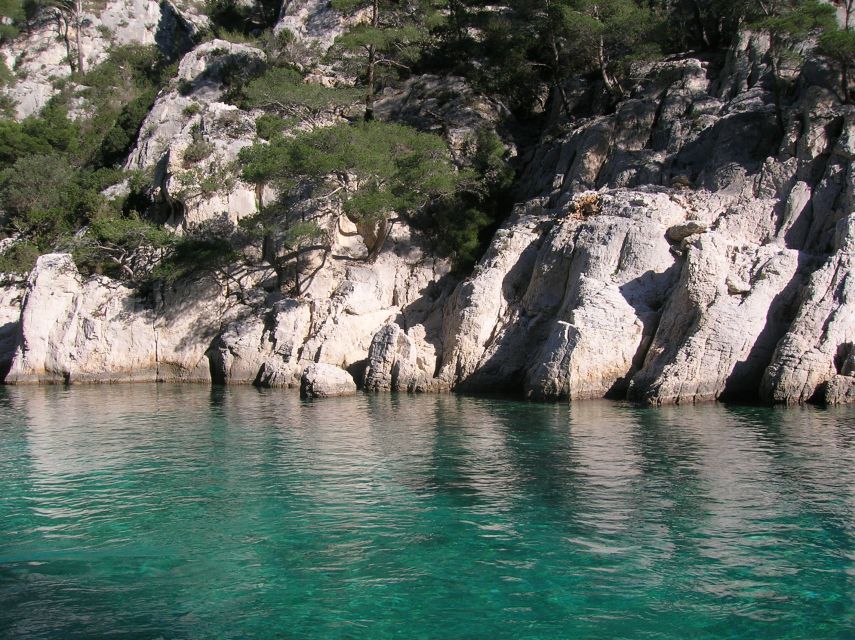 From Aix: Cassis Boat Ride & Provence Wine Tasting Day Tour - Lunch and Free Time in Cassis