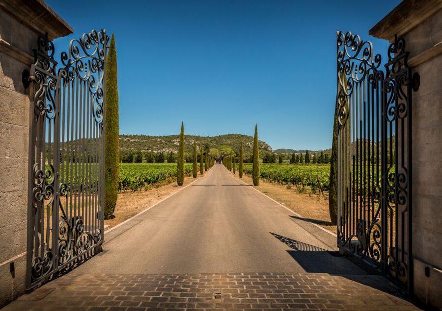 From Aix-en-Provence: Half-Day Wine Tour - Second Winery: A Different Point of View
