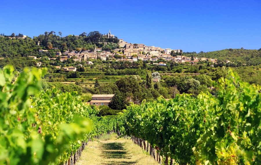 From Aix-en-Provence: Half-Day Wine Tour - First Winery: A Family Estate and Your First Tasting