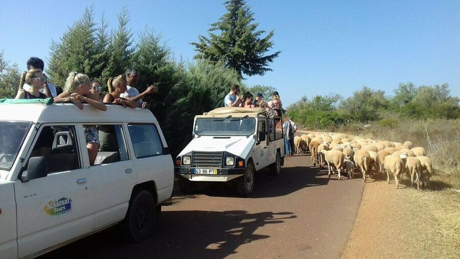 From Albufeira: 4x4 Off-Road Safari & Vineyard Wine Tasting - Why this is a good break from Albufeira
