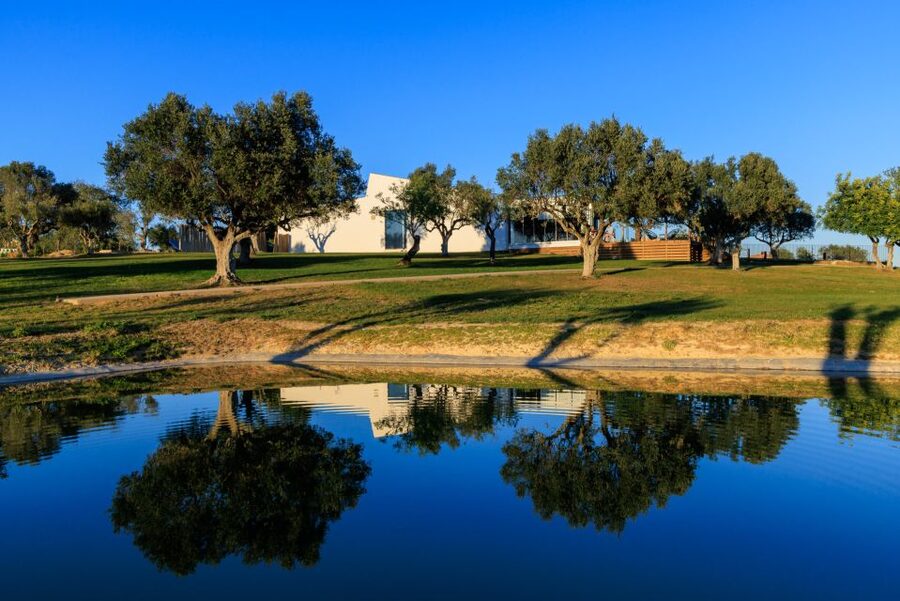 From Albufeira: 4x4 Off-Road Safari & Vineyard Wine Tasting - Who will enjoy this most?