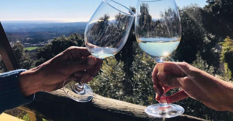 From Albufeira: Wine Tasting & Historic Silves Tour - The tour at a glance