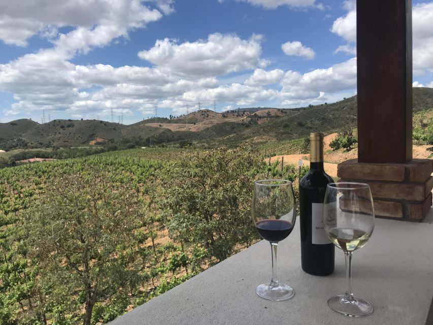 From Albufeira: Wine Tasting & Historic Silves Tour - Should you book the Silves and wine tour?