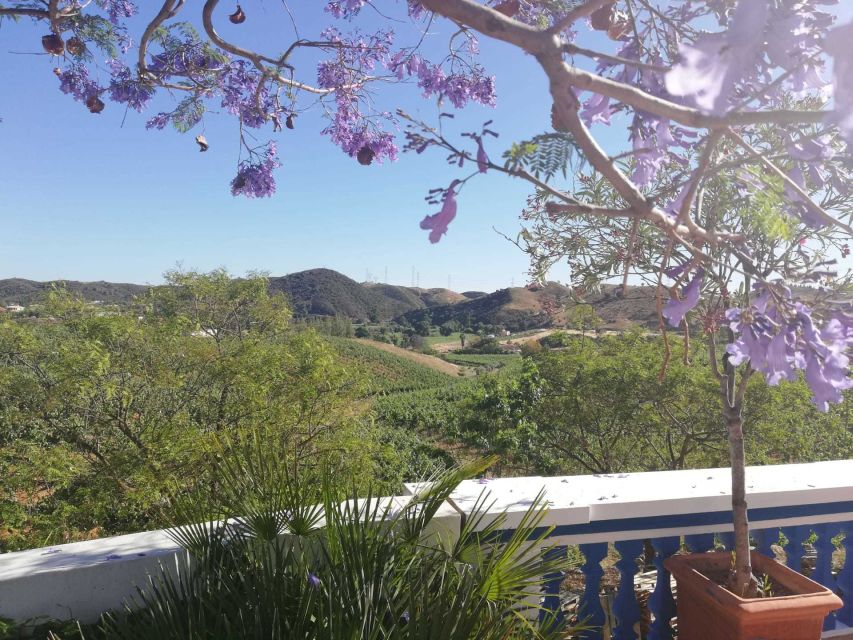From Albufeira: Wine Tasting & Historic Silves Tour - Leaving Albufeira for the Algarve interior