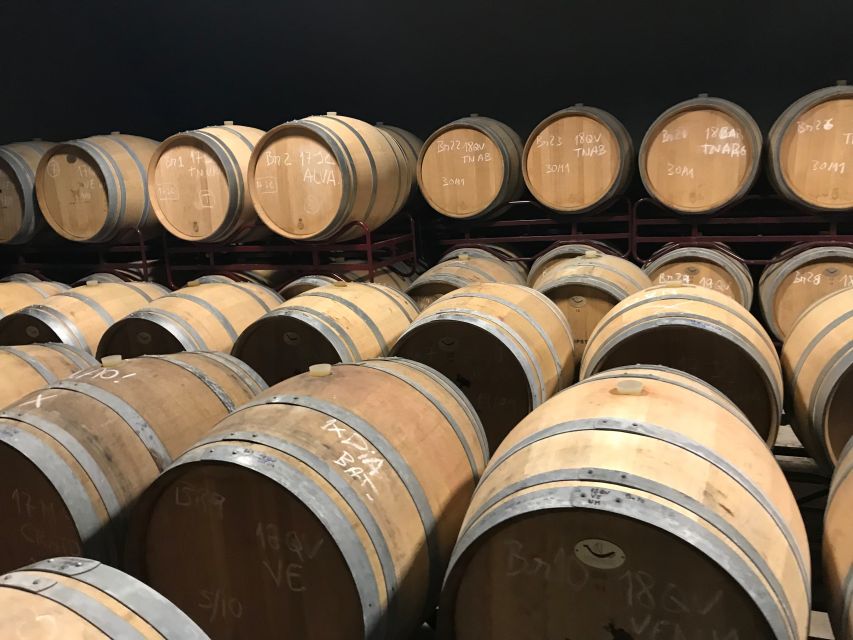 From Albufeira: Wine Tasting & Historic Silves Tour - Three wines, local snacks, and a relaxed tasting