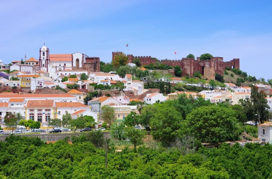 From Albufeira: Wine Tasting & Historic Silves Tour - What the timing really gives you