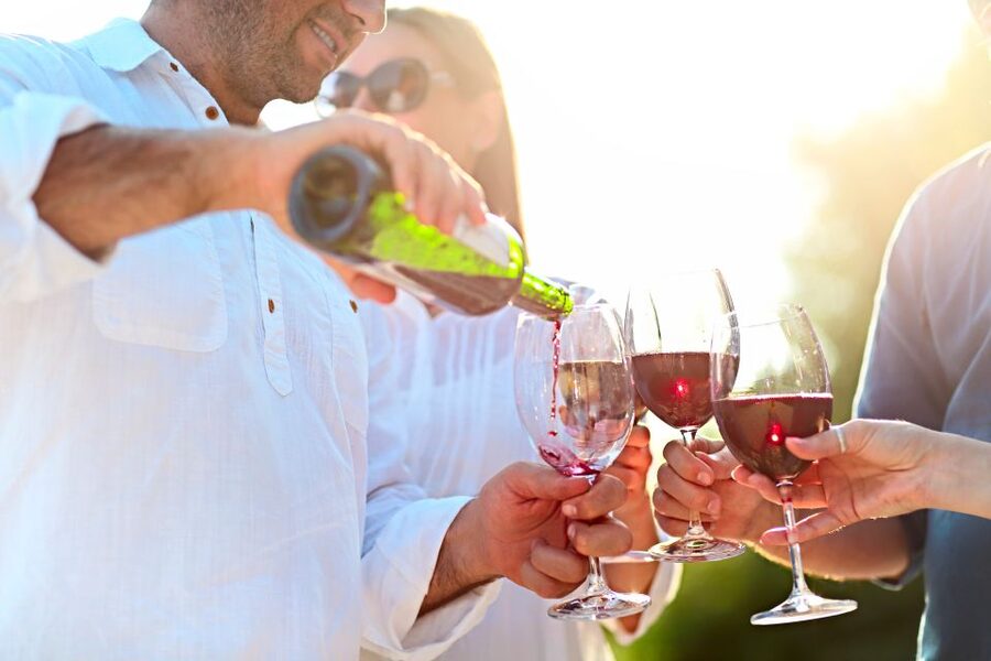 From Albufeira: Wine Tasting & Historic Silves Tour - Who should book this experience?
