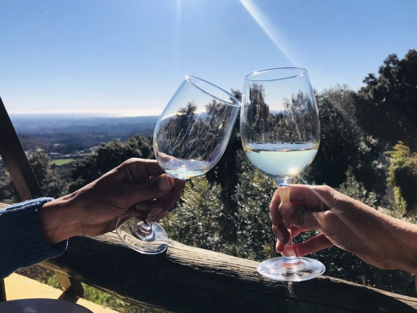 From Albufeira: Wine Tasting & Historic Silves Tour - Thirty minutes in historic Silves