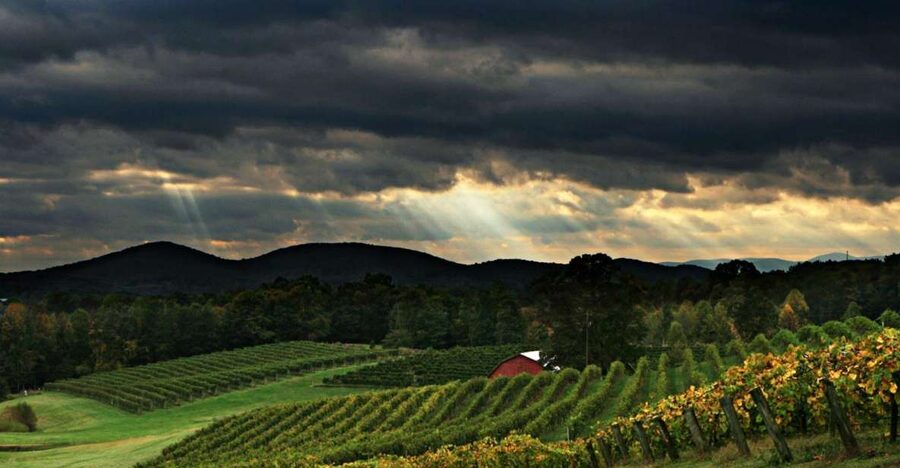 From Atlanta: North Georgia Wine Country Tour - Three wineries and up to 13 local wines