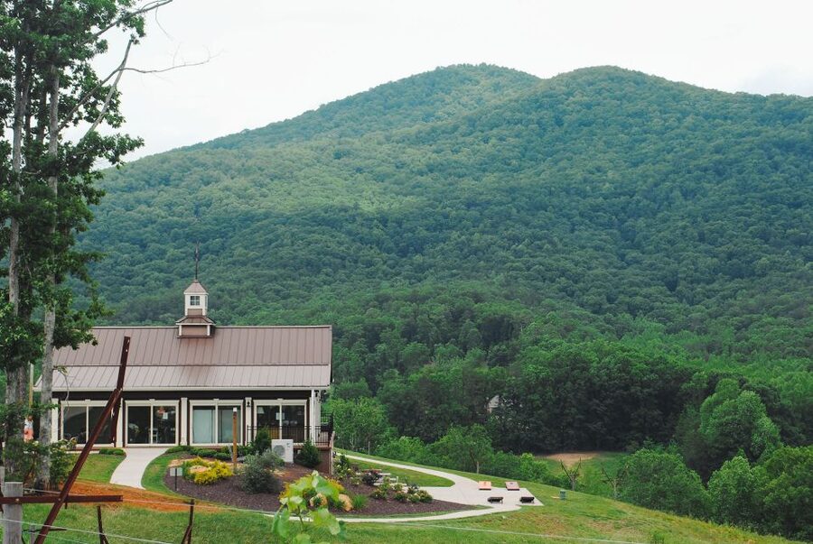 From Atlanta: North Georgia Wine Country Tour - Timing, comfort, and the group atmosphere