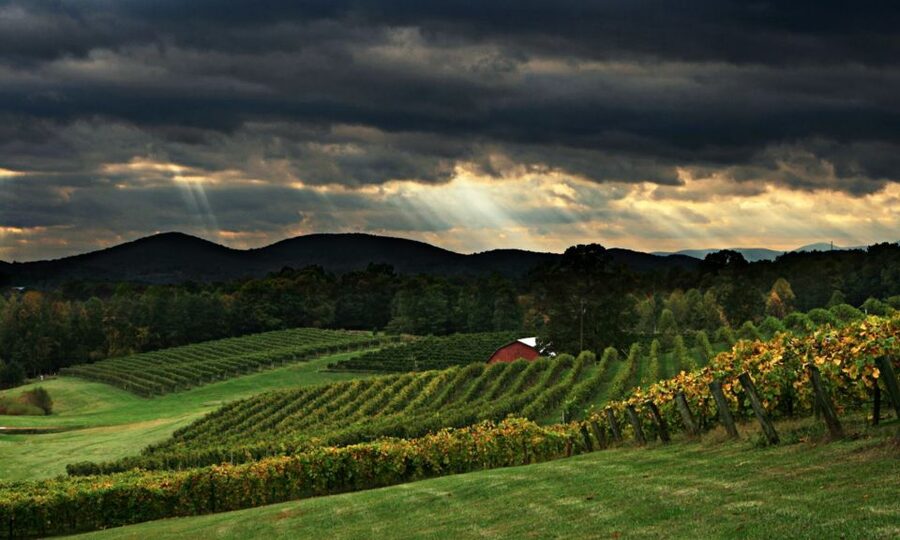 From Atlanta: North Georgia Wine Country Tour - The two-hour ride north from Atlanta
