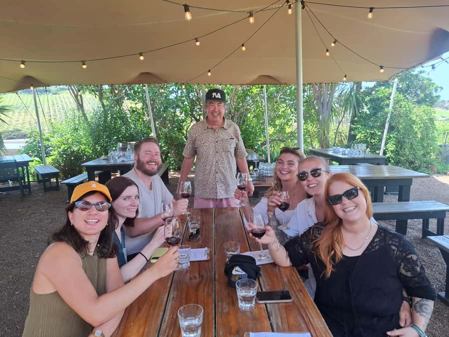 From Auckland: Waiheke Island Wine Cellar Tour - First and second vineyards: a quick introduction to Waiheke wine