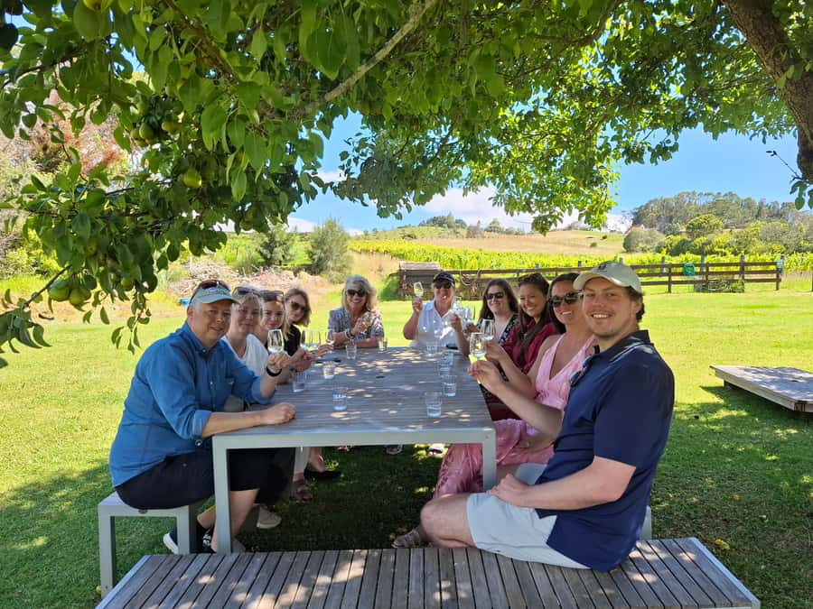From Auckland: Waiheke Island Wine Cellar Tour - Your 10am ferry from Auckland to Matiatia