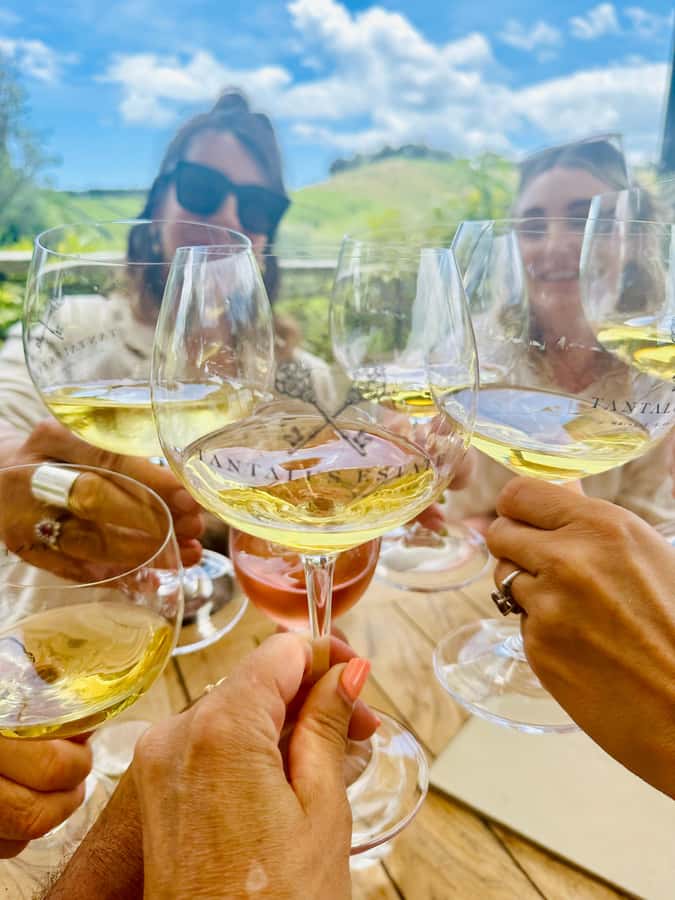 From Auckland: Waiheke Island Wineries' Tour - Four wineries, four different moods