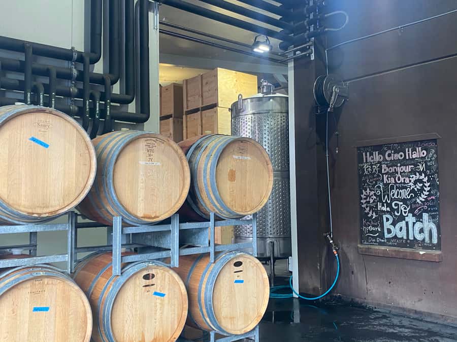 From Auckland: Waiheke Island Wineries' Tour - Should you book the Waiheke winery tour?