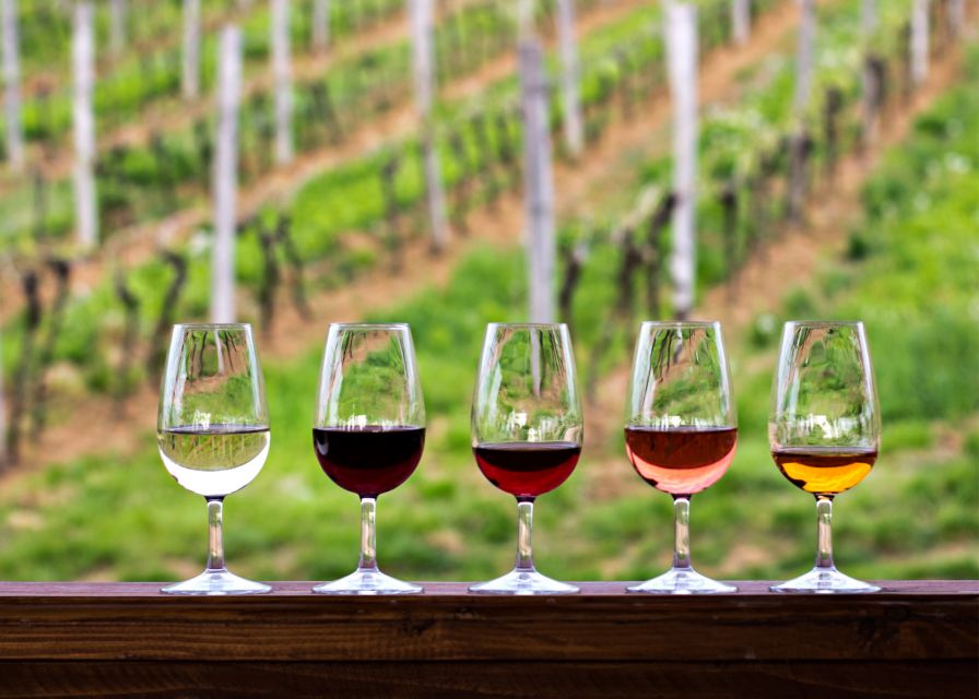 From Austin: Half-Day Hill Country Wine Shuttle - What the guide adds to the day