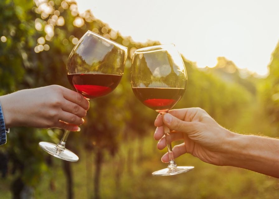 From Austin: Half-Day Hill Country Wine Shuttle - Timing, pace, and route changes
