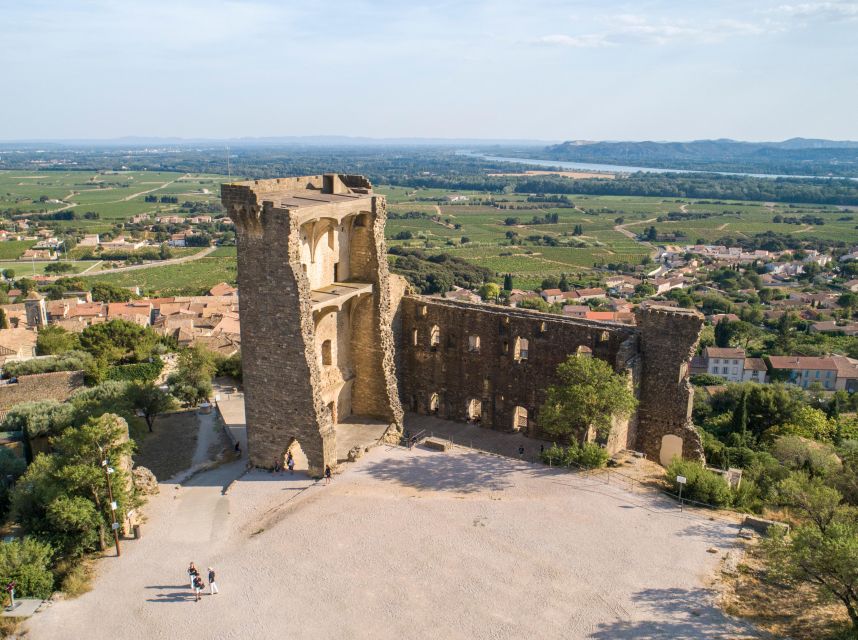 From Avignon: Châteauneuf du Pape Half-Day Wine Tour - The second winery: comparison is the point