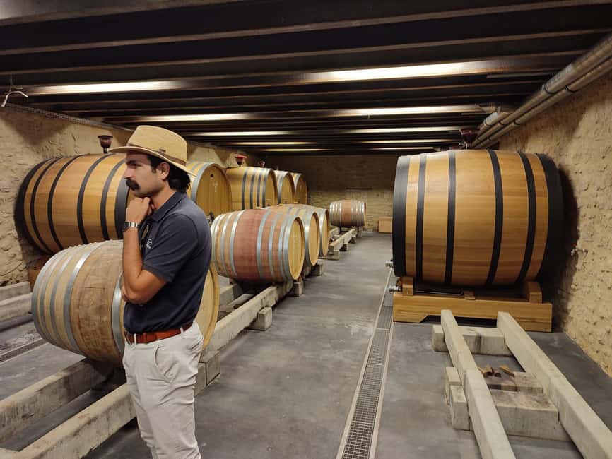 From Avignon: Châteauneuf du Pape Half-Day Wine Tour - What the guides add to the experience