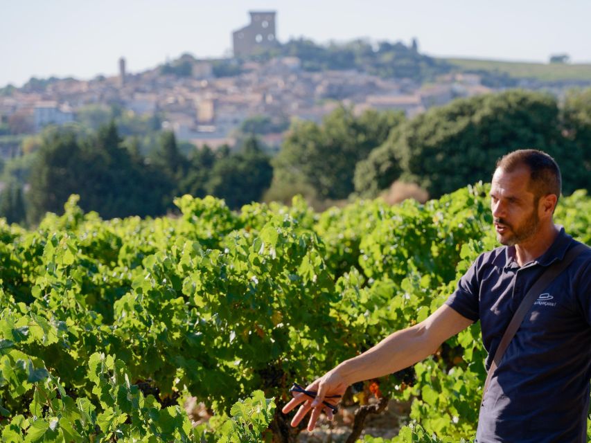 From Avignon: Châteauneuf du Pape Half-Day Wine Tour - Booking details worth knowing