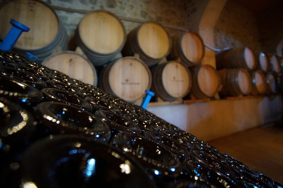 From Barcelona: E-Bike and Sailing Tour with Wine Tastings - Alella and the Catalan wine tradition