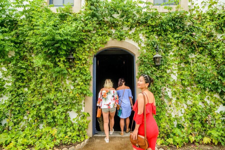 From Barcelona: Penedés Vineyards Tour by 4WD w/Wine & Cava - Can Bas, historic vines, and a 4WD ride