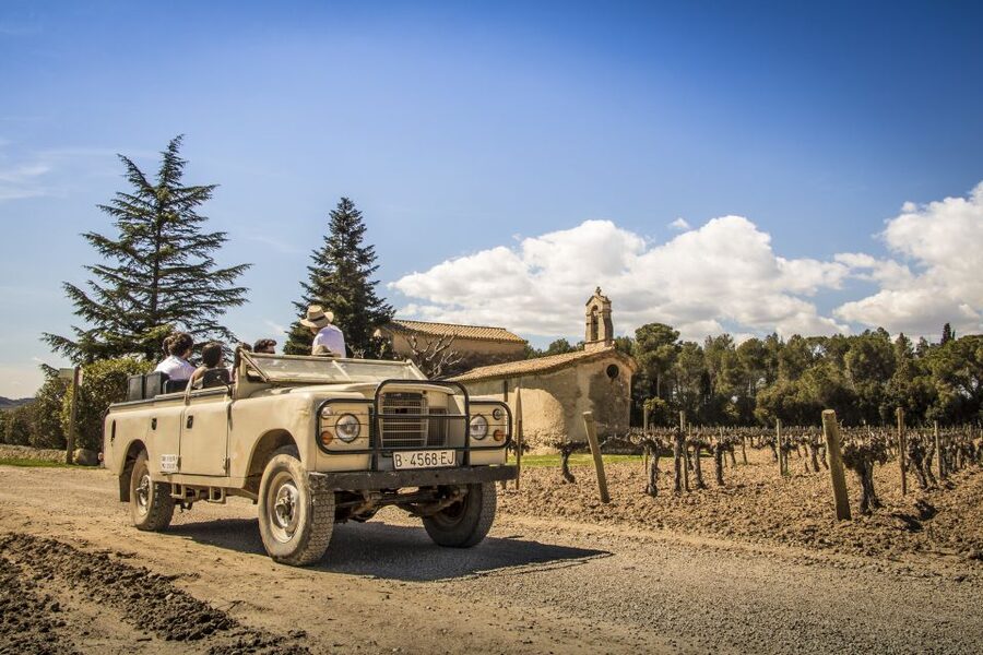 From Barcelona: Penedés Vineyards Tour by 4WD w/Wine & Cava - The guides make a major difference