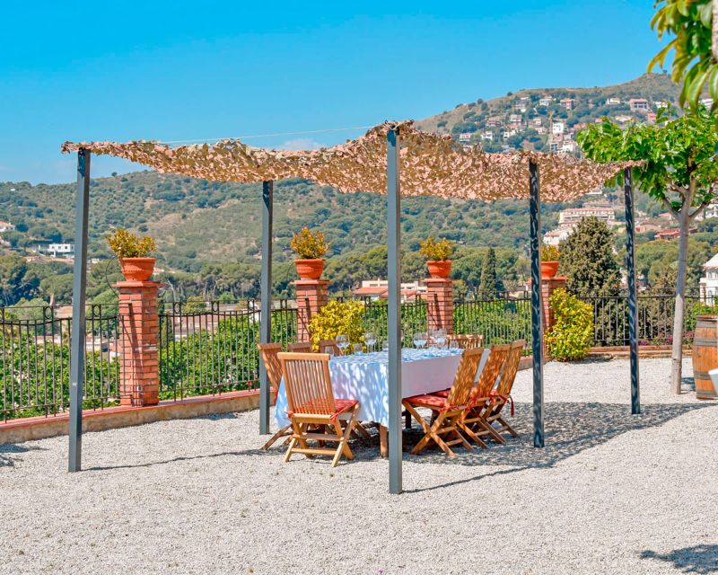 From Barcelona: Private Alella Wine Tour by Electric Bike - Key points to know before booking