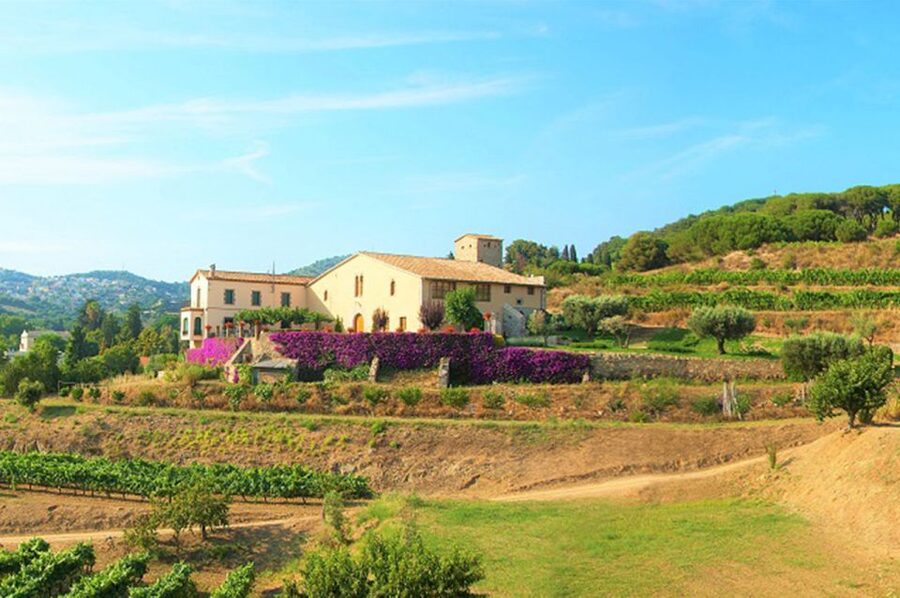 From Barcelona: Private Alella Wine Tour by Electric Bike - Reaching the family-run organic winery in Alella