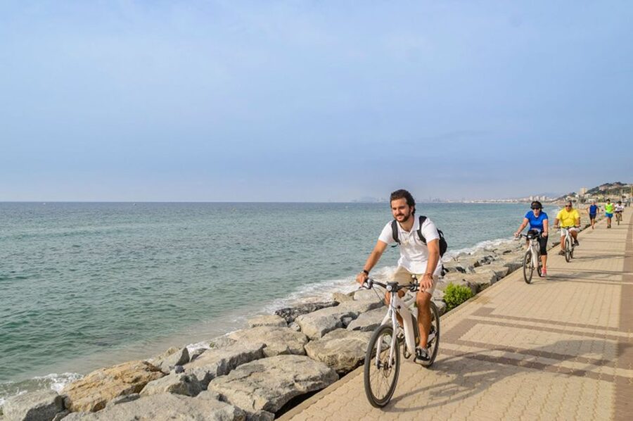 From Barcelona: Private Alella Wine Tour by Electric Bike - Four wines and a Catalan picnic