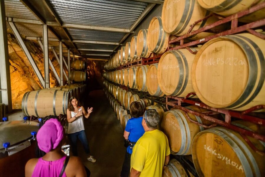 From Barcelona: Private Alella Wine Tour by Electric Bike - The return by train and final bike ride