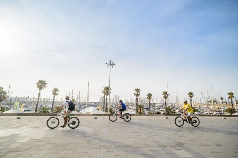 From Barcelona: Private Alella Wine Tour by Electric Bike - Guides make a major difference