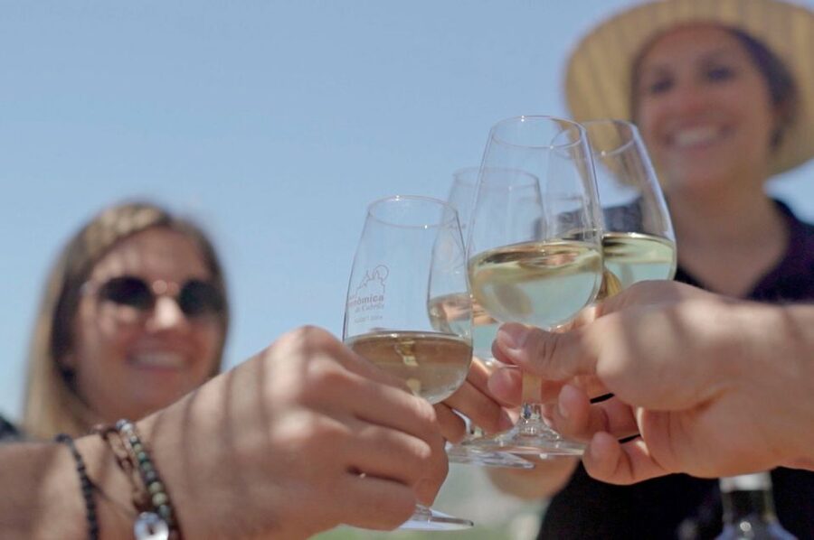 From Barcelona: Private Alella Wine Tour by Electric Bike - Is $294 per person good value?