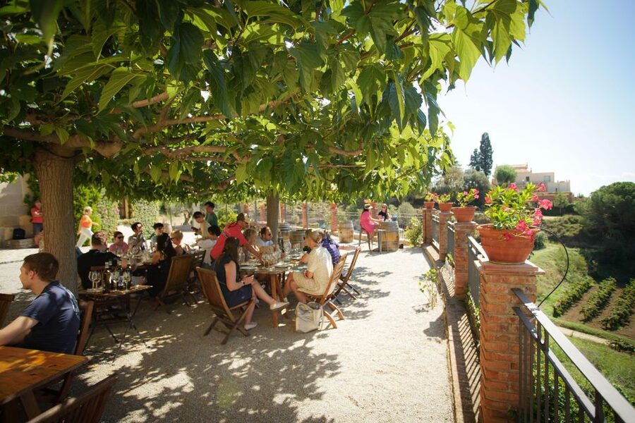 From Barcelona: Sailing and Wine Tasting Experience - Arriving at Alella and reaching the winery