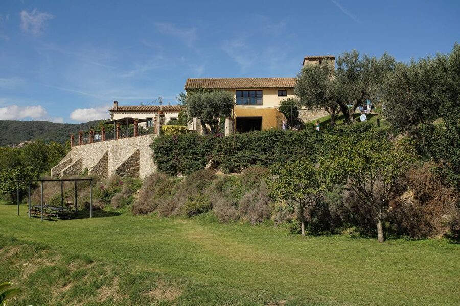 From Barcelona: Sailing and Wine Tasting Experience - The 14th-century estate and its vineyard setting