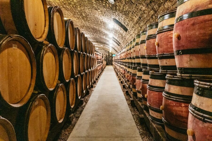 From Beaune: Burgundy Day Trip with 14 Wine Tastings - Practical points for a smoother day