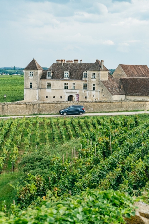From Beaune: Burgundy Day Trip with 14 Wine Tastings - A full day built around Burgundy’s wine map