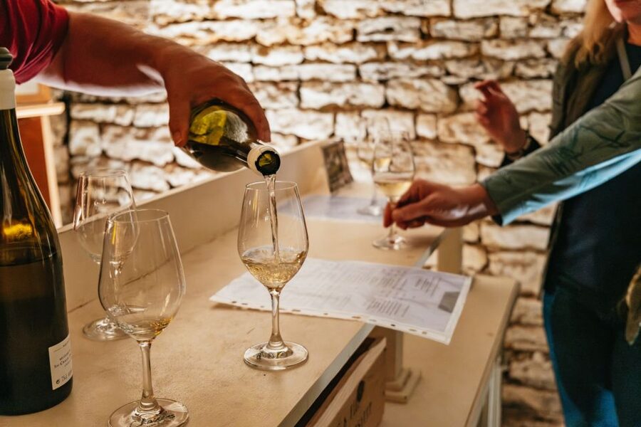 From Beaune: Burgundy Day Trip with 14 Wine Tastings - Lunch in a Burgundy village, with the bill left to you