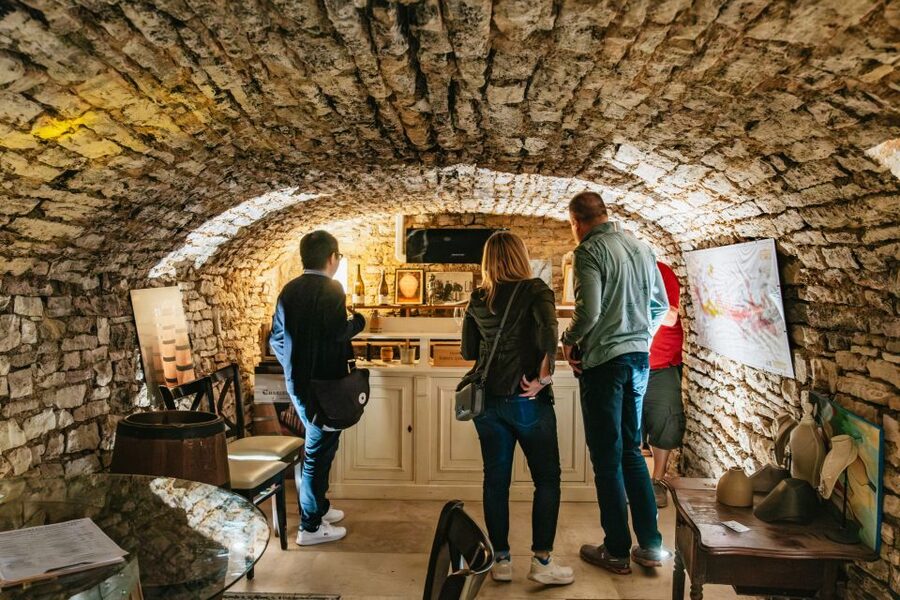 From Beaune: Burgundy Day Trip with 14 Wine Tastings - Nuits-Saint-Georges: a closer look at Pinot Noir