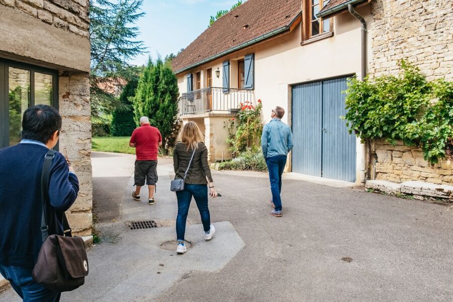 From Beaune: Burgundy Day Trip with 14 Wine Tastings - What the guide adds to the day