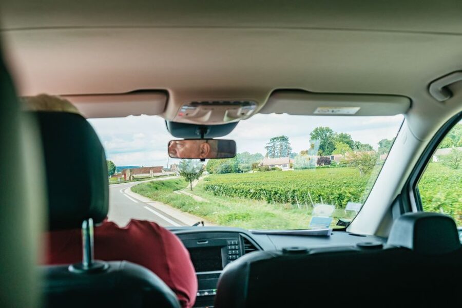 From Beaune: Burgundy Day Trip with 14 Wine Tastings - Is $294 a fair price?