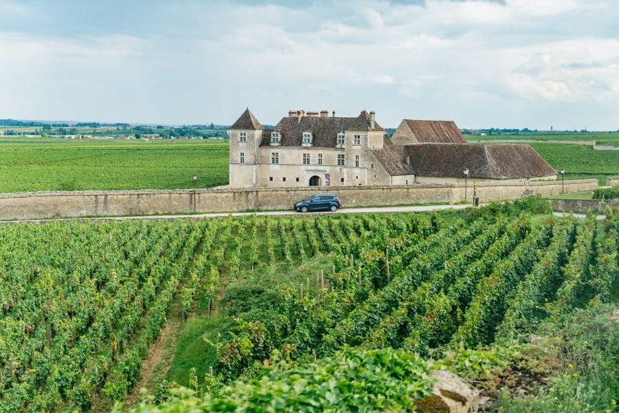 From Beaune: Burgundy Day Trip with 14 Wine Tastings - The first tasting near Beaune: learn the rules before the wines