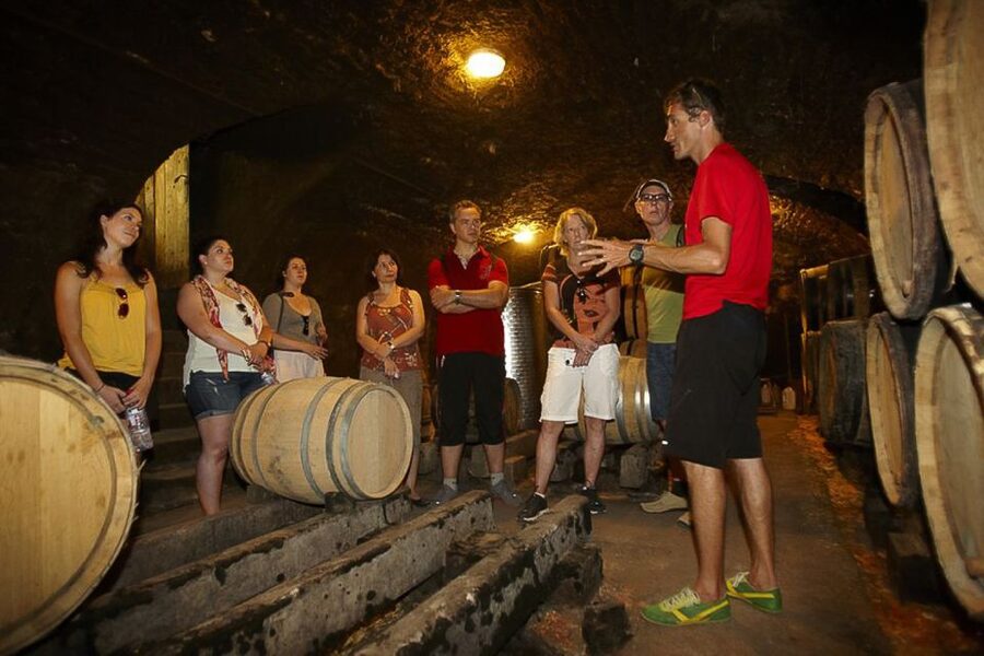 From Beaune: Full-Day Bicycle and Wine Tour in Burgundy - Key points to know before booking