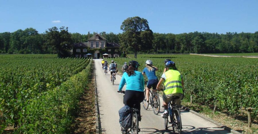 From Beaune: Full-Day Bicycle and Wine Tour in Burgundy - Why a bicycle is the right way to see the Côte de Beaune