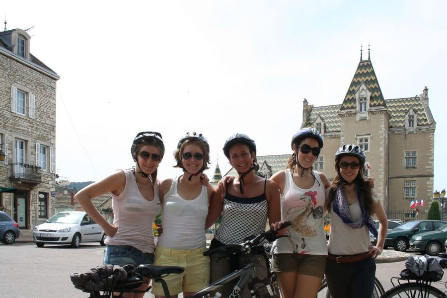 From Beaune: Full-Day Bicycle and Wine Tour in Burgundy - Meursault, Pommard, and the cellar experience