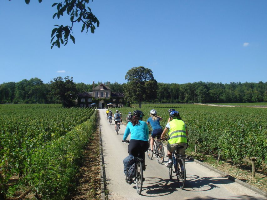 From Beaune: Full-Day Bicycle and Wine Tour in Burgundy - The opening van ride and your first route briefing