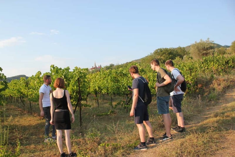 From Berat: Guided Winery Tour with Transfers and Tastings - How the tasting unfolds