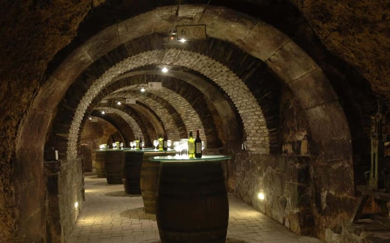 From Bilbao: La Rioja Wineries Day Trip with Wine Tastings - Why this Rioja day trip works from Bilbao