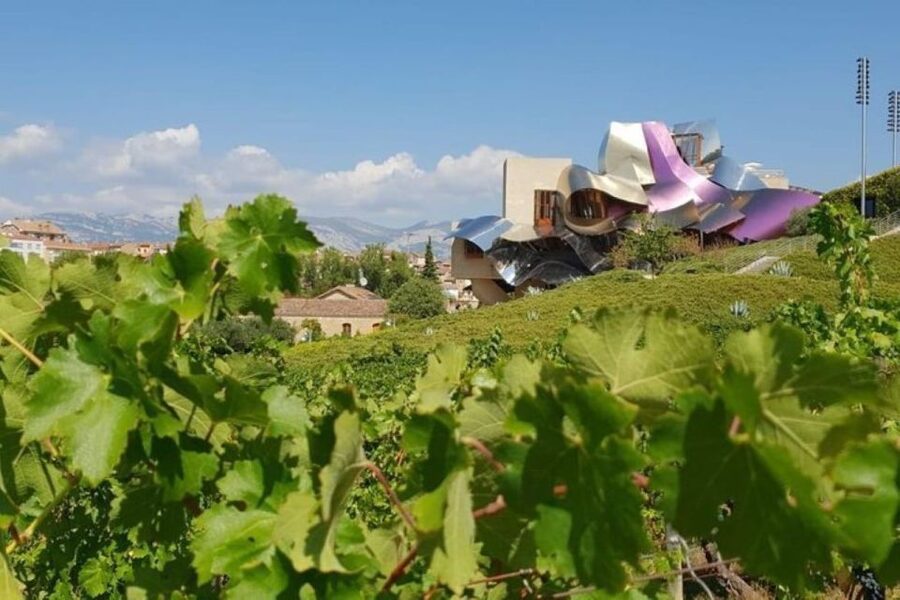 From Bilbao: Rioja Architecture and Wine Tour - Rioja wine with a guide who knows the region